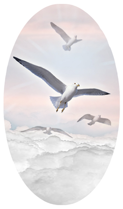 DNSBLUF 101 PK Journey Home Clouds Birds Pink